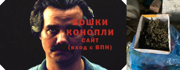 индика Сосновоборск