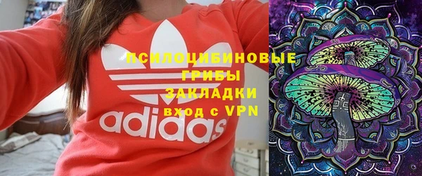 apvp Бронницы