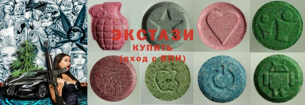 индика Сосновоборск