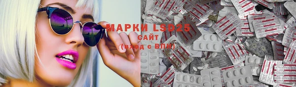 индика Сосновоборск